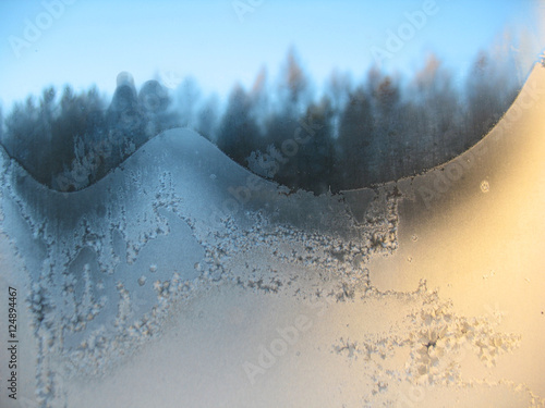 frozen winter window