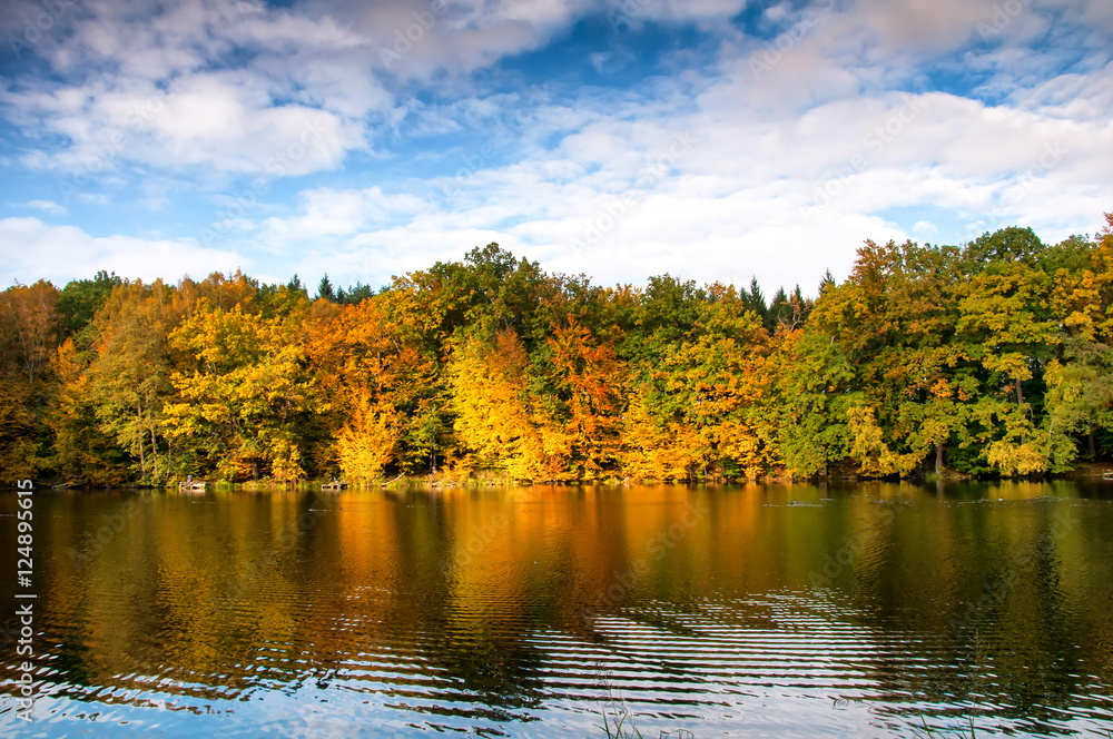 Beautiful forest and lake in autumn Beautiful forest and lake in autumn