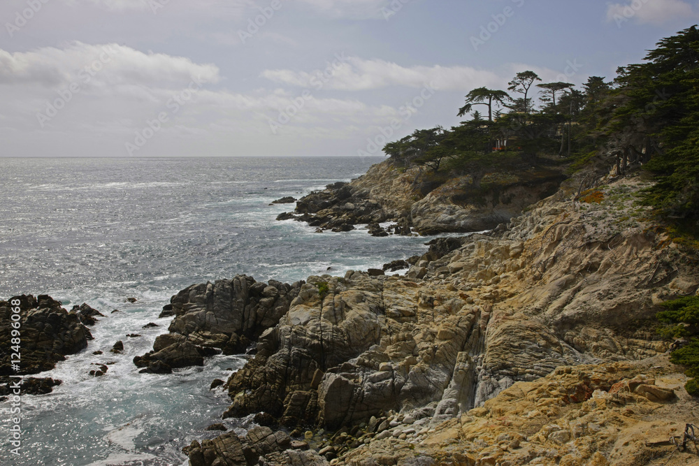 rocky coastline