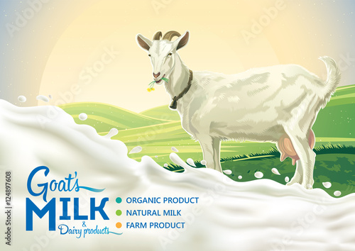 Rural landscape with goat and splash of milk as a design element.