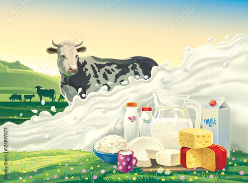 Cow, and splash of milk and set of dairy products: cheese, milk, yogurt, against the background of a rural landscape. Vector illustration.