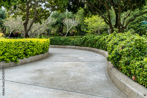Concrete Pathway in garden