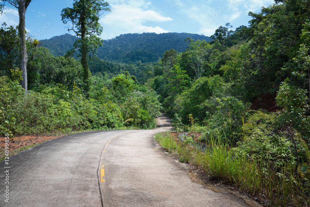 Highway in the tropics Highway in the tropics