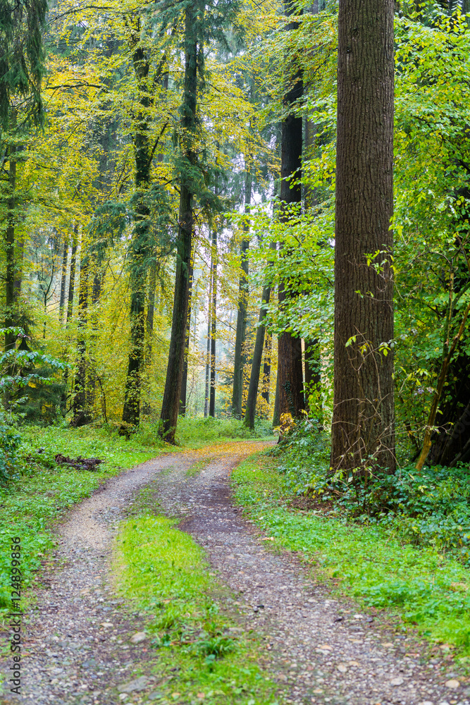 Fototapeta premium Natur mir Farbe und Aussicht
