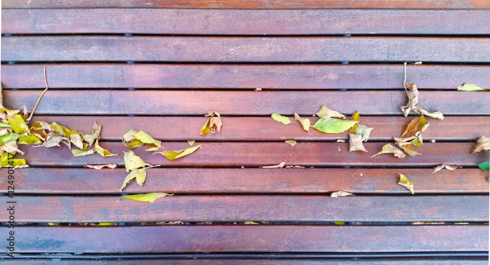 Fototapeta premium Bench in autumn park