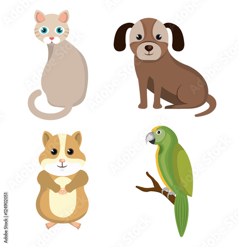 pet mascot isolated icon vector illustration design