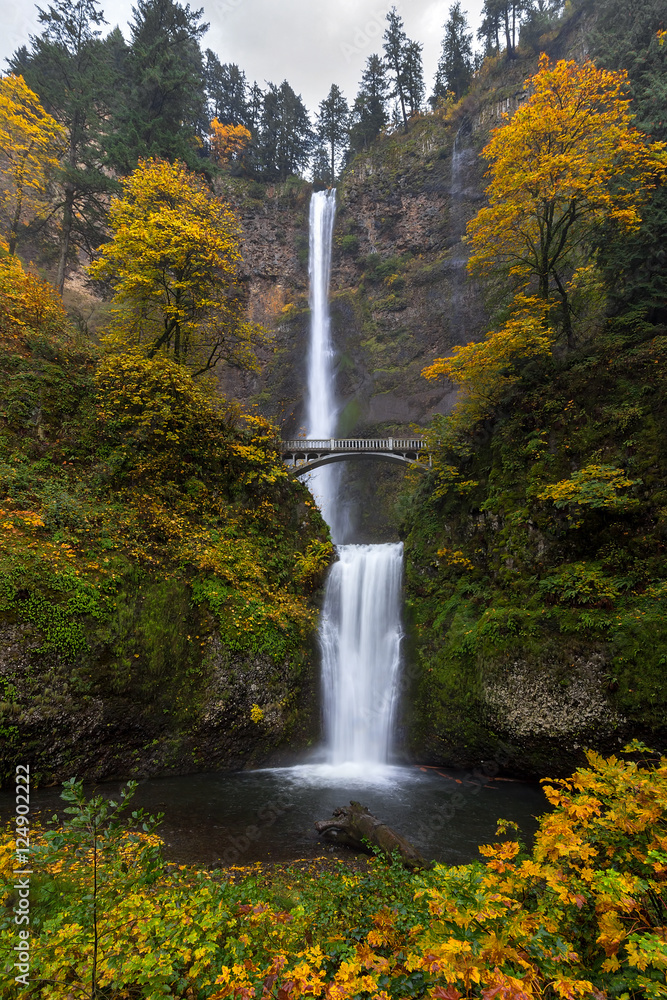 Fototapeta premium Multnomah Falls in Autumn