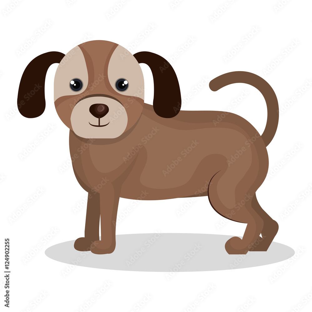 Fototapeta premium dog pet mascot isolated icon vector illustration design