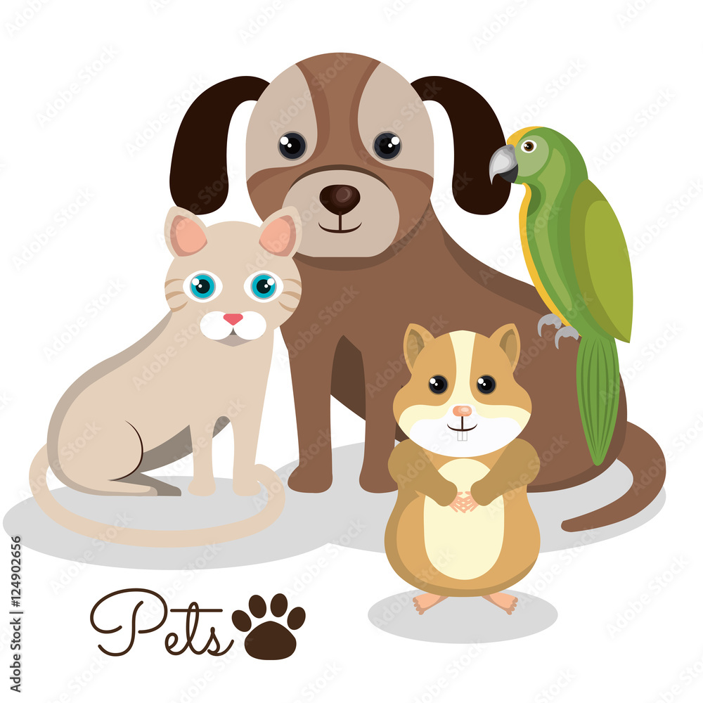 Fototapeta premium pet mascot isolated icon vector illustration design