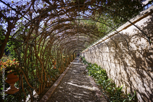 Monforte Garden