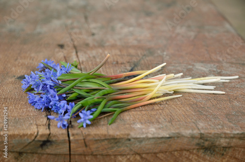 Lost flowers on the wooden board