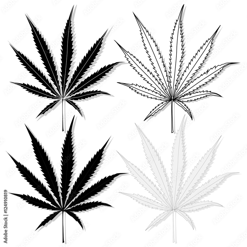 Cannabis leaf vector isolated Cannabis leaf vector isolated