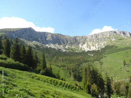 Hohe Veitsch, Müzsteger Alpen, Steiermark