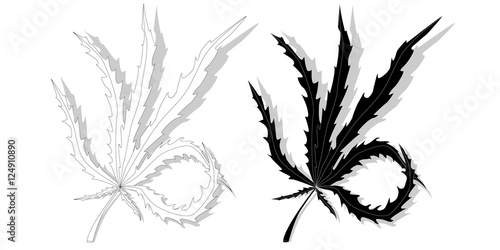Cannabis leaf isolated on white background