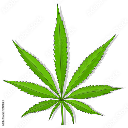 Cannabis leaf vector isolated