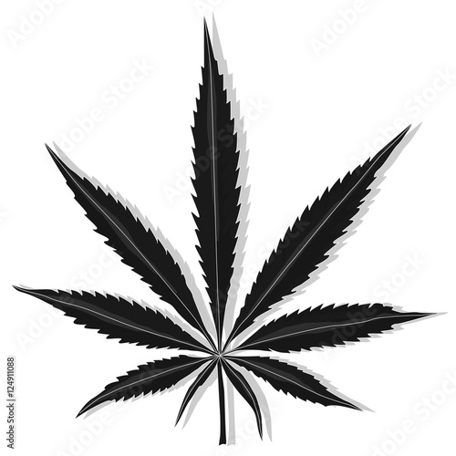 Cannabis leaf vector isolated