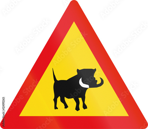 Temporary road sign used in the African country of Botswana - Warthogs photo