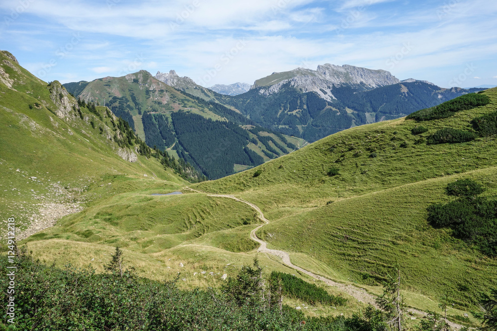Sommer am eisenerzer Reichenstein in den Alpen