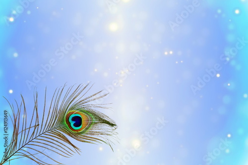  De focused circle light abstract peacock feather texture background