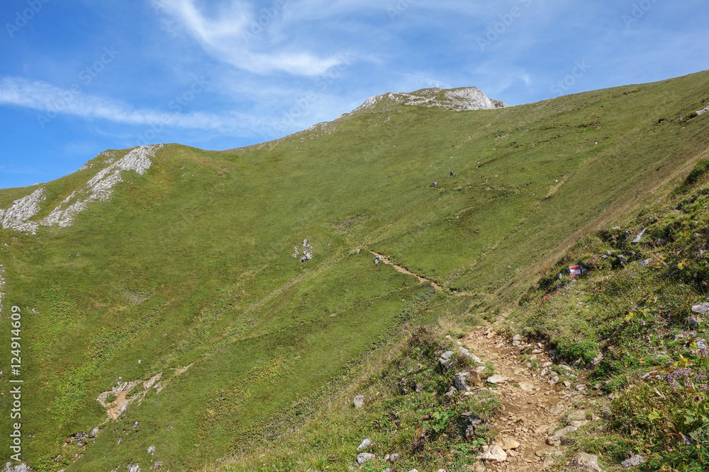 Sommer am eisenerzer Reichenstein in den Alpen Sommer am eisenerzer Reichenstein in den Alpen