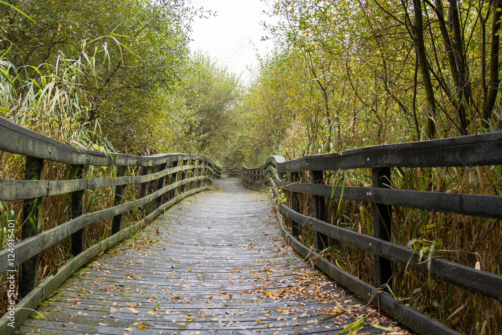 Raised wooden pathway at Shapwick Heath nature reserve. Uneven wooden boardwalk over marshland at Natural England's National Nature Reserve in Somerset, England, UK Raised wooden pathway at Shapwick Heath nature reserve. Uneven wooden boardwalk over marshland at Natural England's National Nature Reserve in Somerset, England, UK
