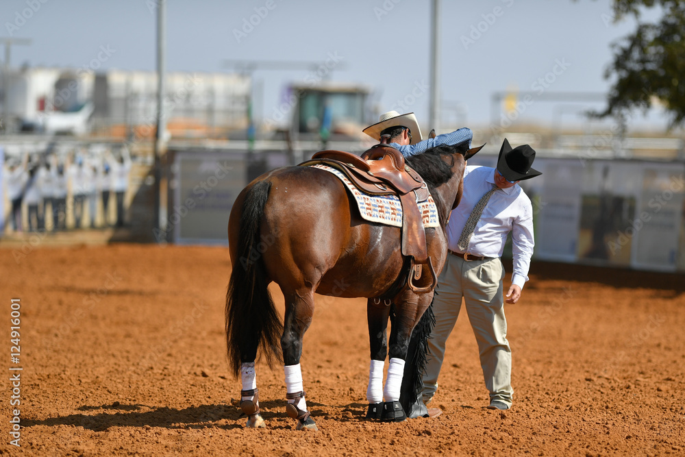 The referee checks horse during a western riding competition. The referee checks horse during a western riding competition.
