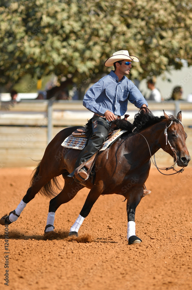 The side view of a rider in cowboy chaps, boots and hat on a horseback performs an exercise during a competition The side view of a rider in cowboy chaps, boots and hat on a horseback performs an exercise during a competition