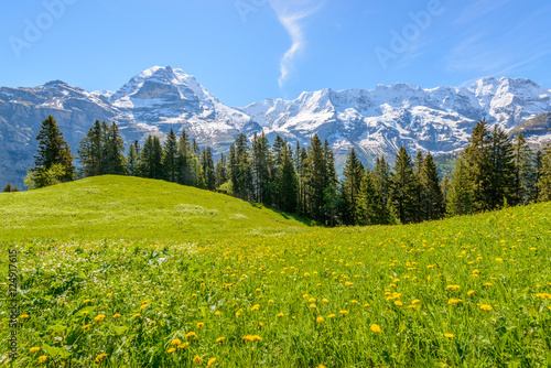 Valokuva View of beautiful landscape in the Alps with fresh green meadows and snow-capped mountain tops in the background on a sunny day with blue sky and clouds in springtime