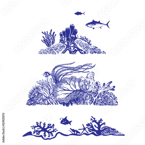 Underwater world and beautiful sealife. Fish, coral reef, polyps and deep water plants. Vector Illustration