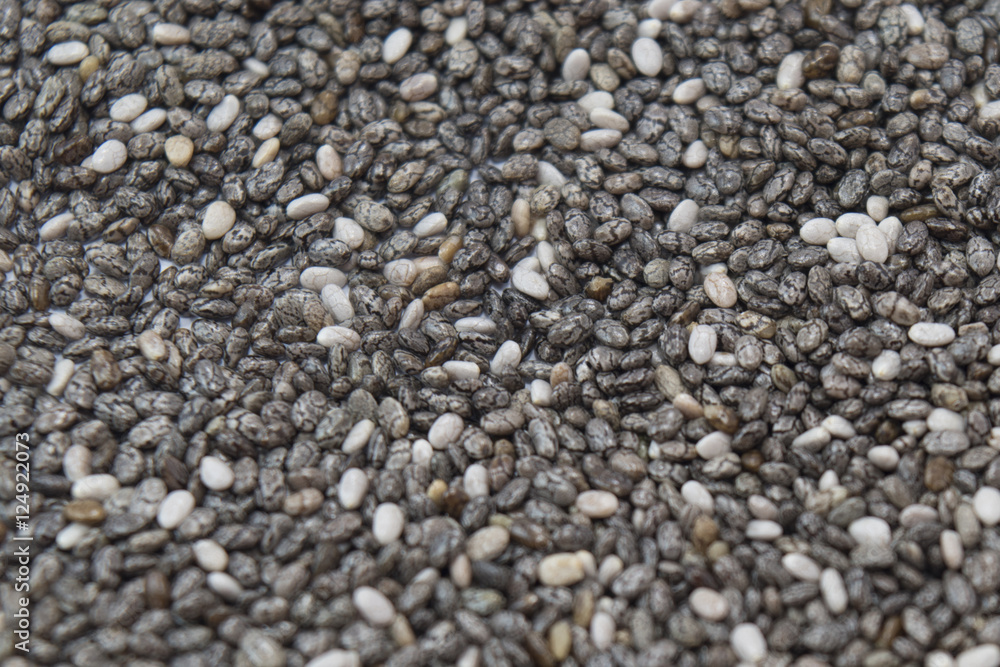 Graines de chia Salvia hispanica Graines de chia Salvia hispanica