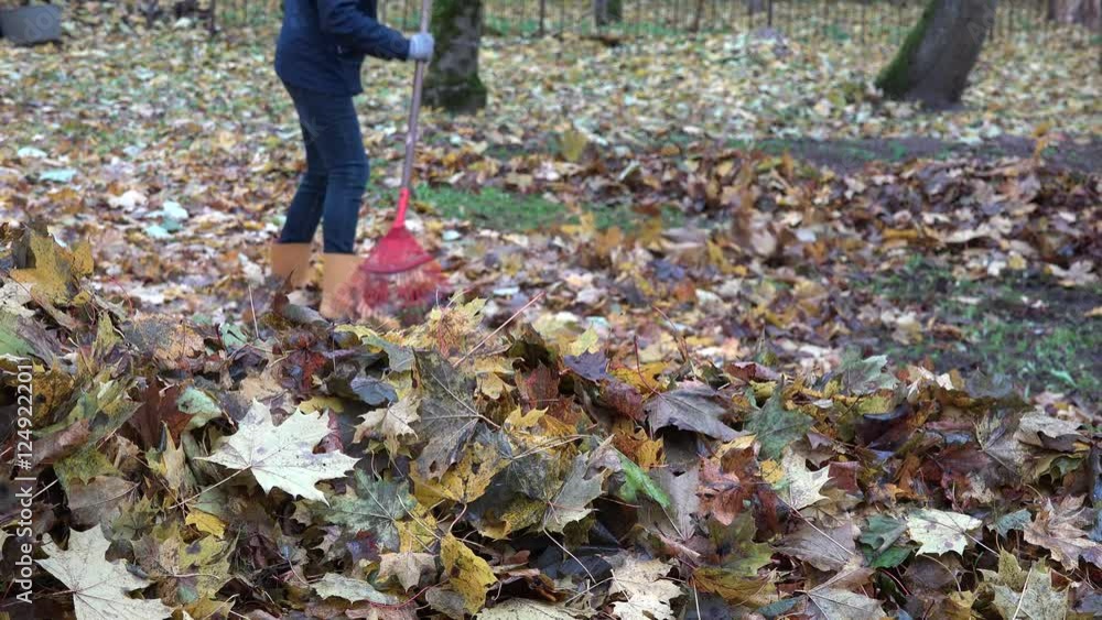 Woman in yellow boots raking fall leaves with red rake in garden. 4K Woman in yellow boots raking fall leaves with red rake in garden. 4K