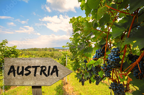 Wooden information sign for the wine growing country Austria photo