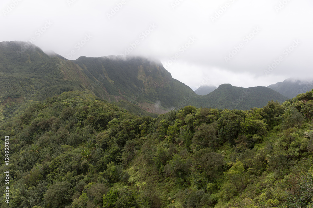 Obraz premium Cloudy day in the rain forest of Dominica