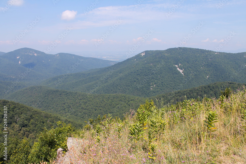 Mountains in the Distance of Shenandoah National Park