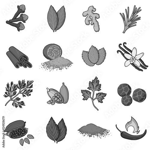 Herb and spices set icons in monochrome style. Big collection of herb and spices vector symbol stock illustration