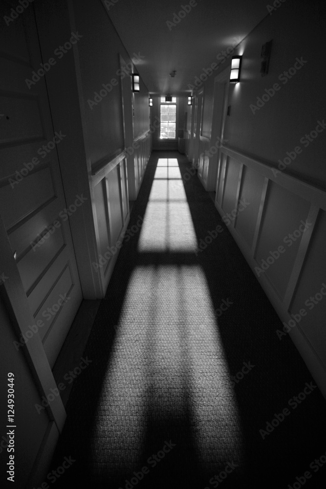 hall window light hall window light
