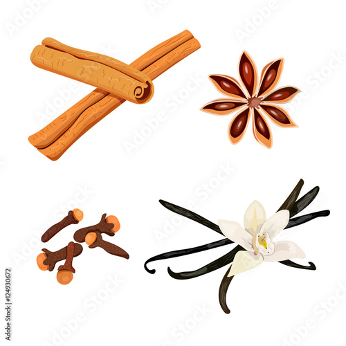 Set of spices. vanilla flower and pods, cloves, star anise, cinnamon