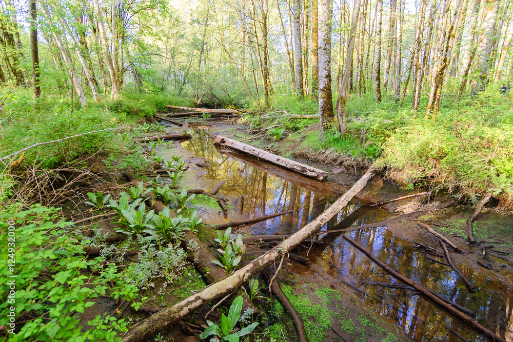 Billy Frank Jr. Nisqually National Wildlife Refuge