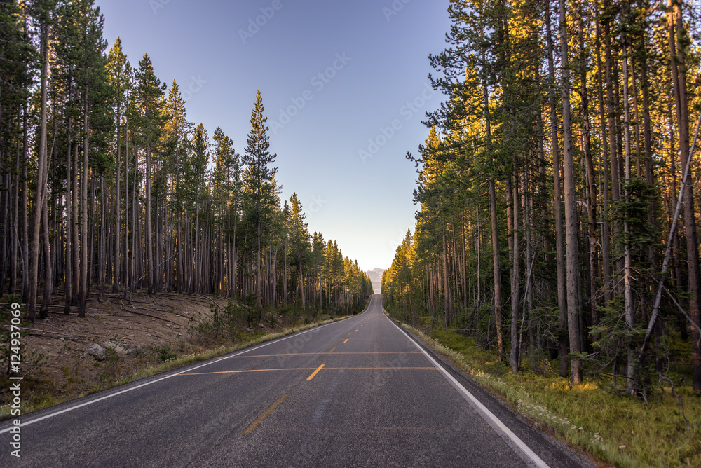 Fototapeta premium Highway Leaving Yellowstone