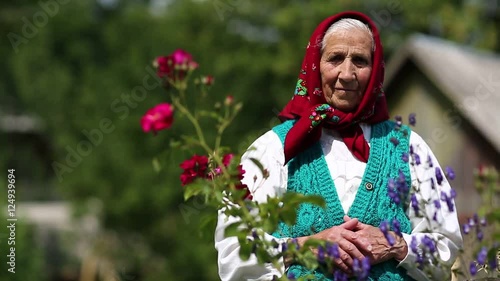 Old woman stands in flowers near his house and looks at the camera. Ukrainian elderly woman in red headscarf stands near wooden hut and looks at the camera. Female looks at the camera and smiles photo