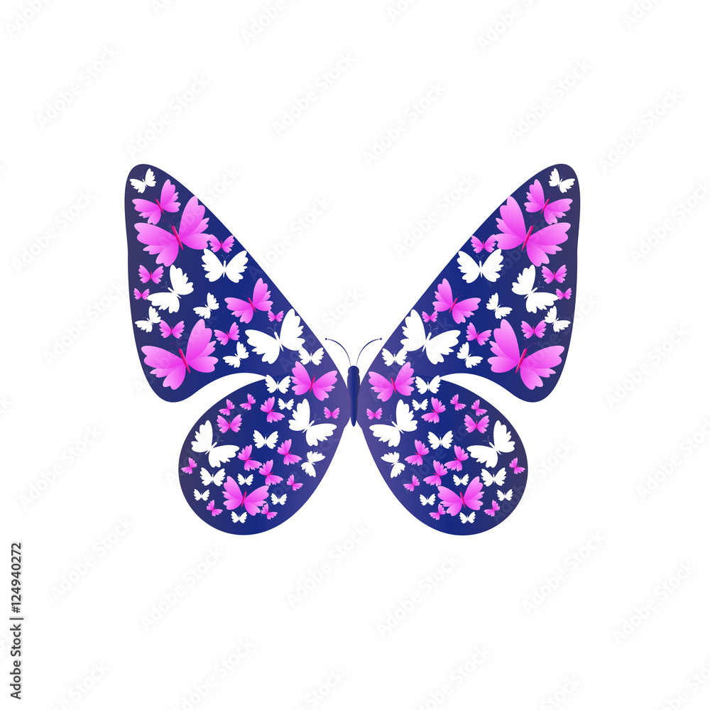 butterfly butterfly
