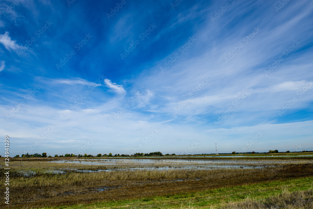 Blue sky clouds over irrigated farmland in California, available to migratory birds