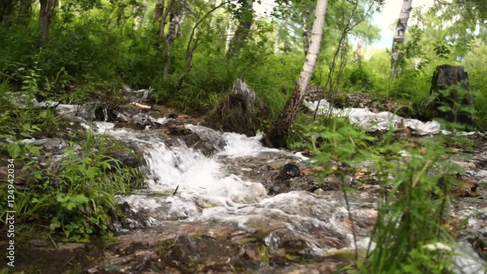rough mountain river in mountain rough mountain river in mountain