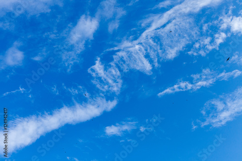 Clear blue sky with plain white clouds