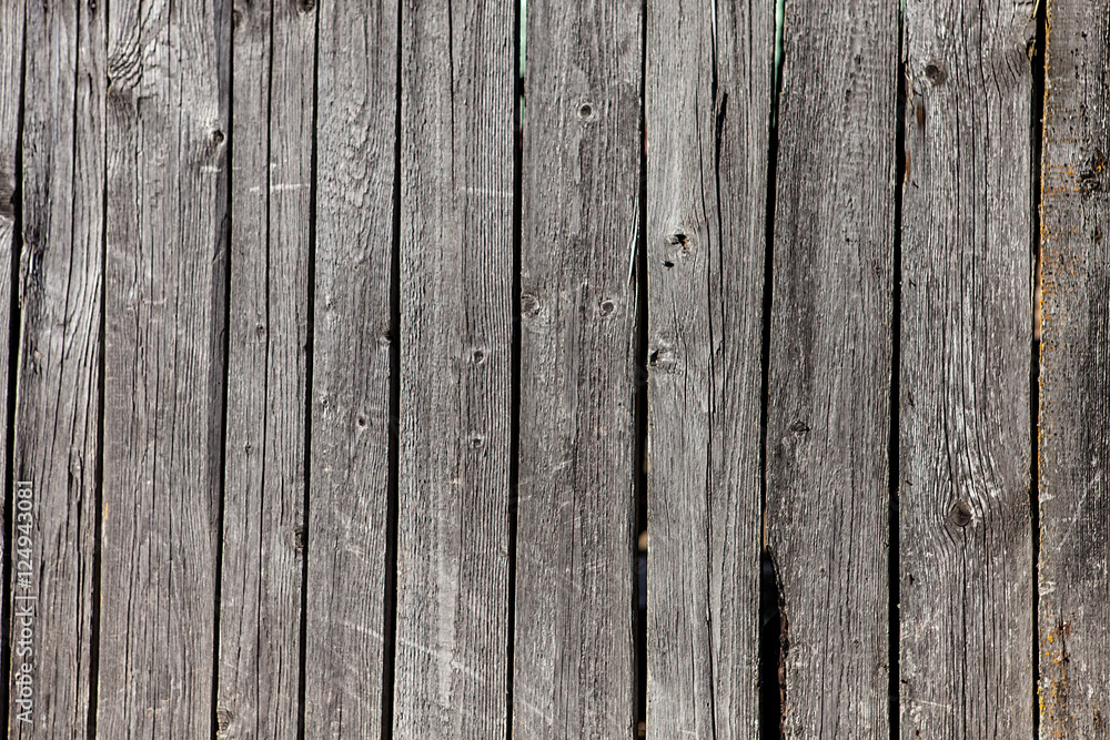 Fototapeta premium Wood unpainted closeup texture background
