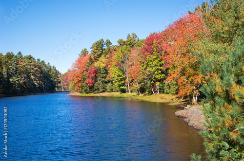 Colorful autumn trees by a lake in New England