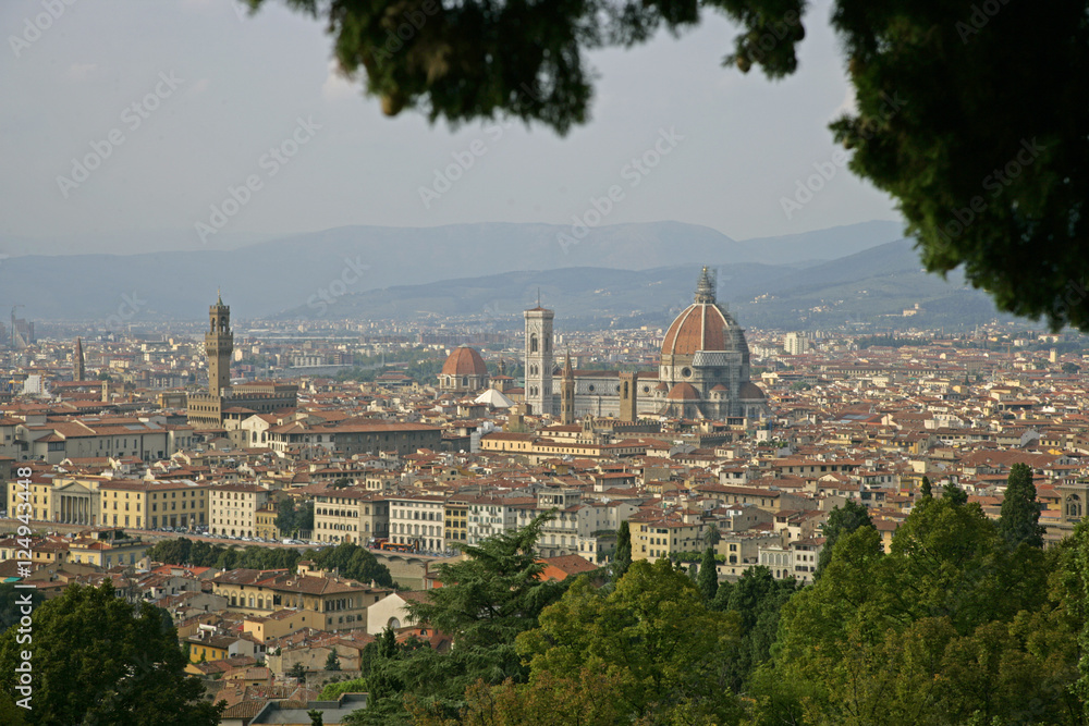 florence cityscape w trees
