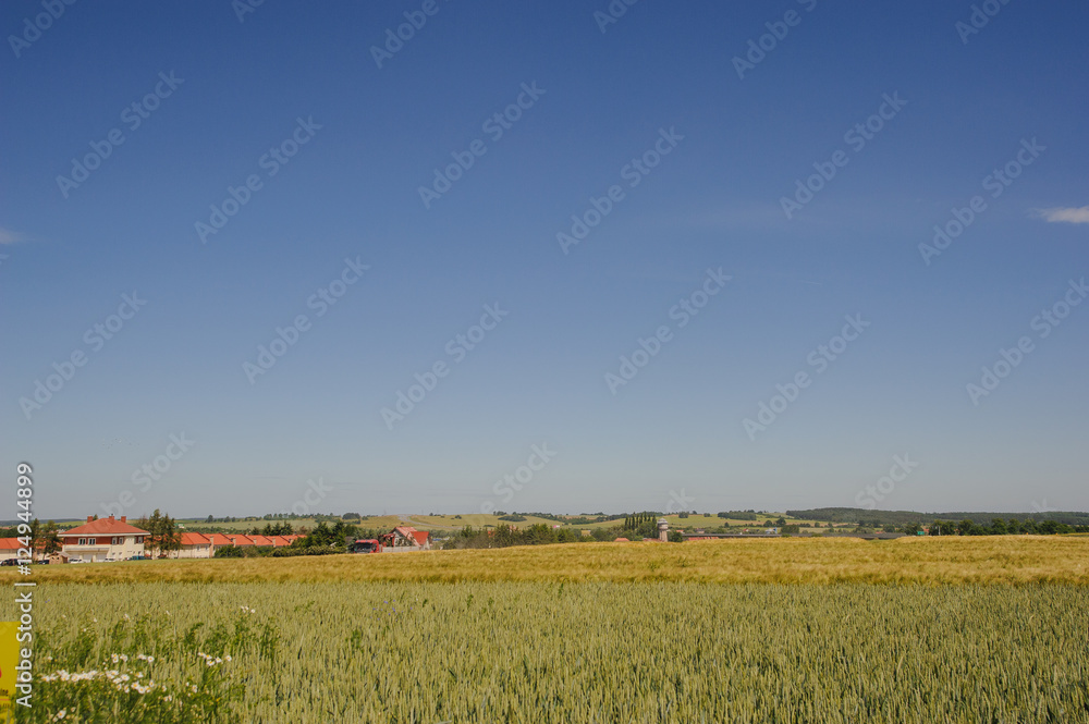 Fototapeta premium estate cottages in nature