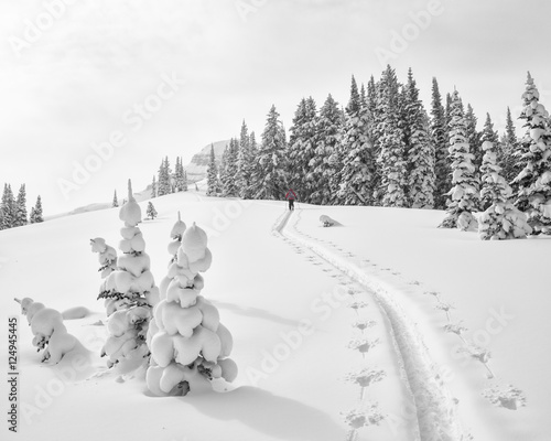 Climb in fresh snow