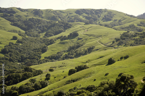 lucas valley hills